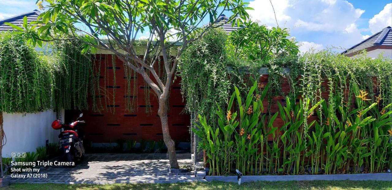 Villa Bluelove Seririt Banjar  المظهر الخارجي الصورة